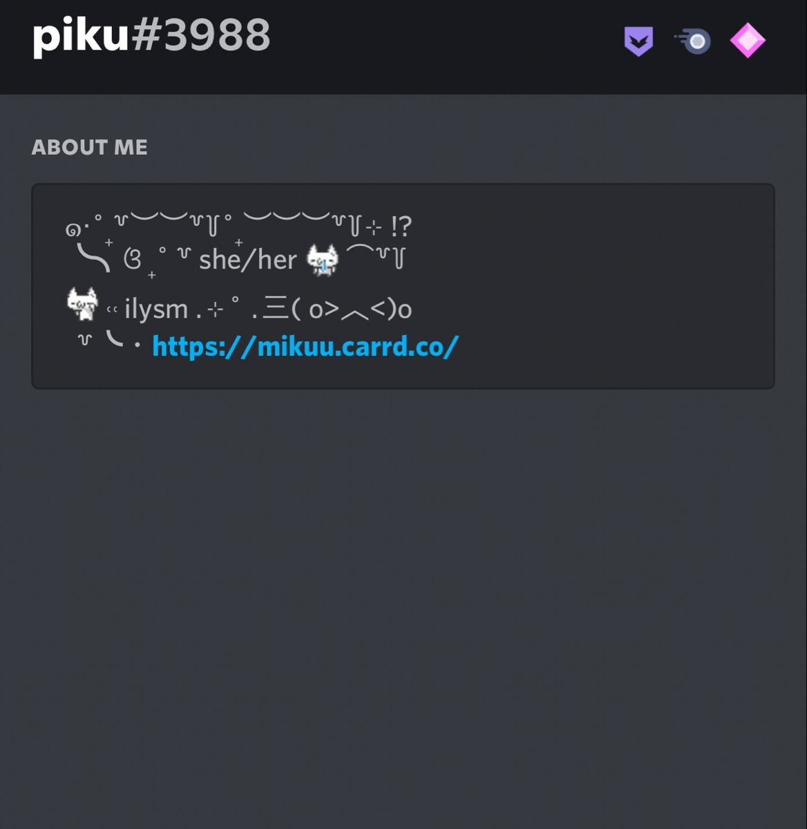 aesthetic bio template discord