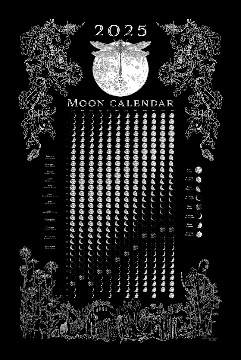 moon phase calendar 2025