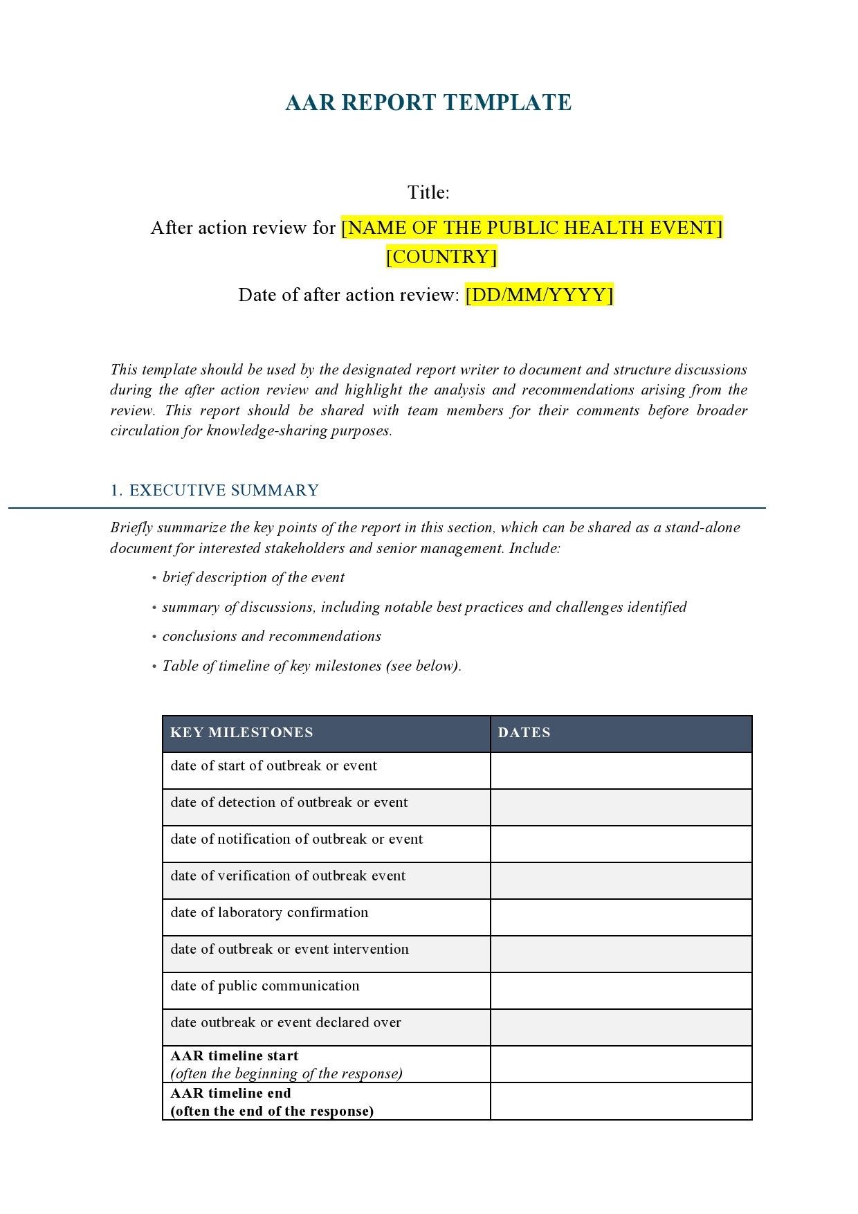 after action report template word