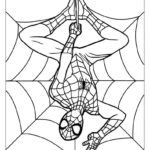 40 Spider Man Coloring Pages Free PDF Printables