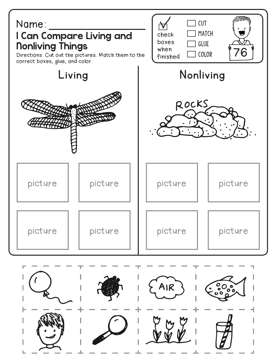 4th grade science worksheets free