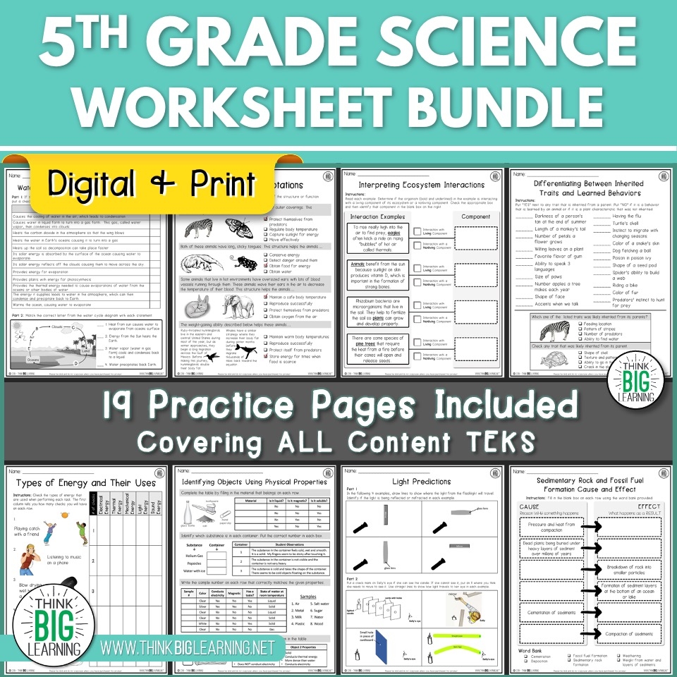 science worksheets for grade 5