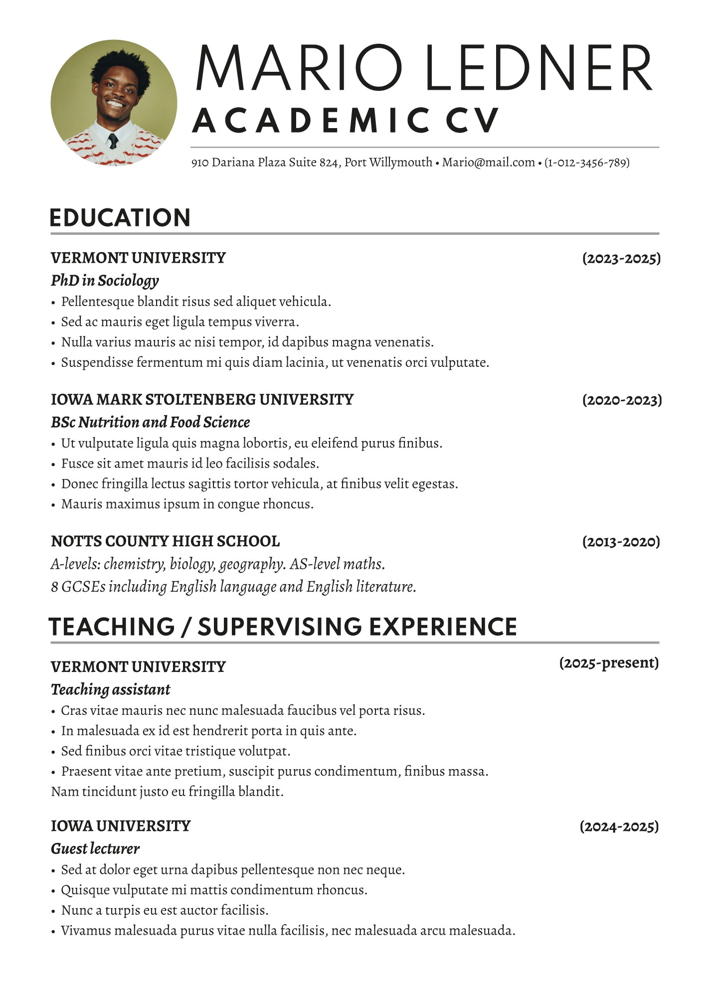 Academic CV Free Google Docs Template Gdoc io
