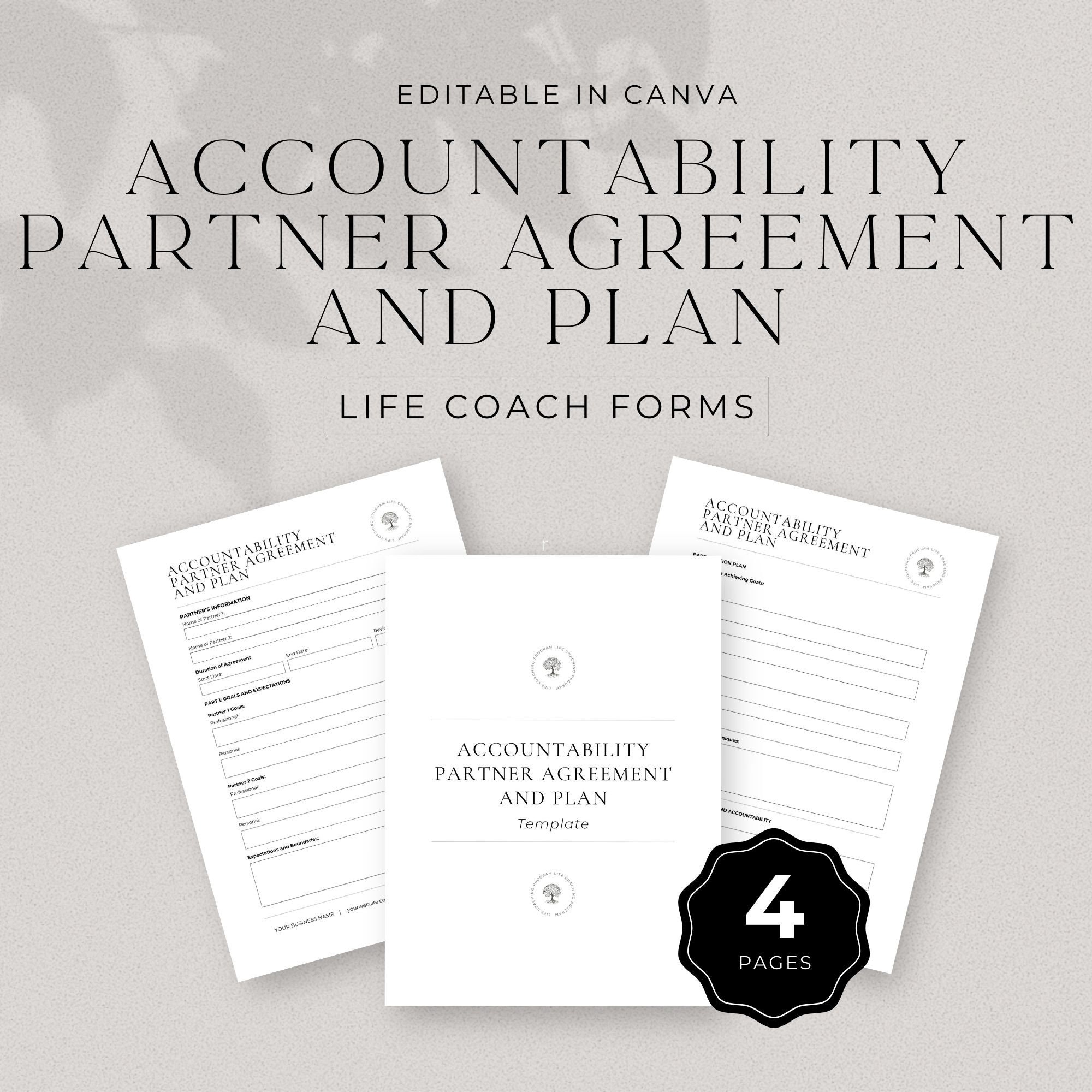 accountability plan template