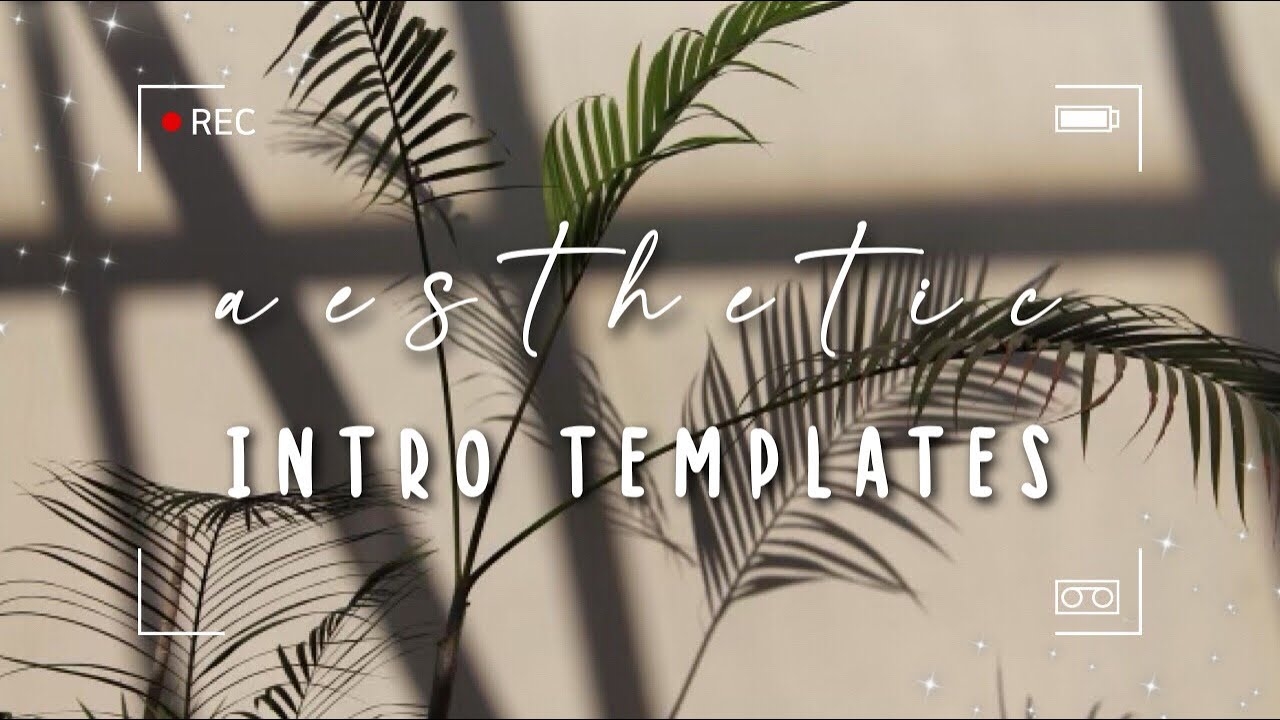 Aesthetic Intro Templates For 2021 2022 no Text No Credit Needed YouTube
