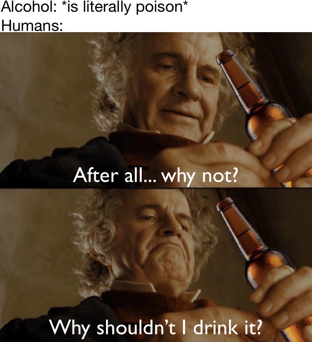 After All Why Not Memes To Enjoy Because After All Why Not EBaum s World