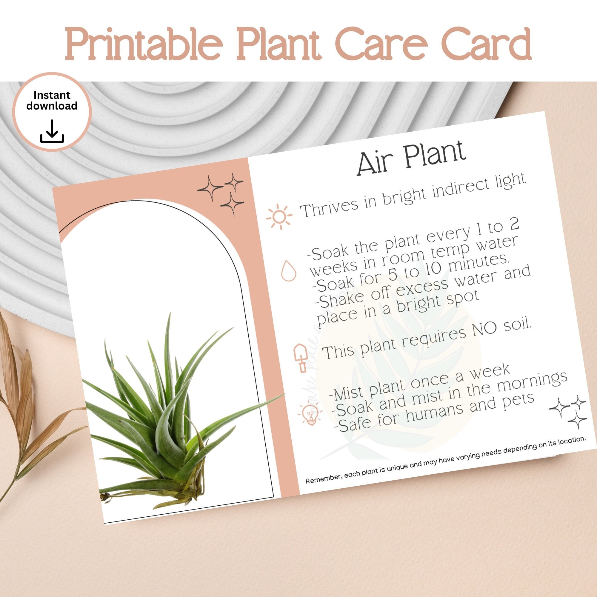 Air Plant Care Instruction Printable Instant Download Plant Care Card Indoor Plant Care Watering Chart Etsy