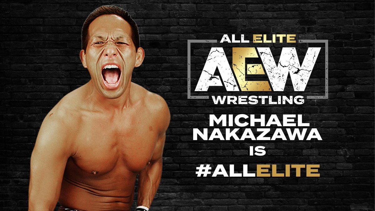 aew is all elite template
