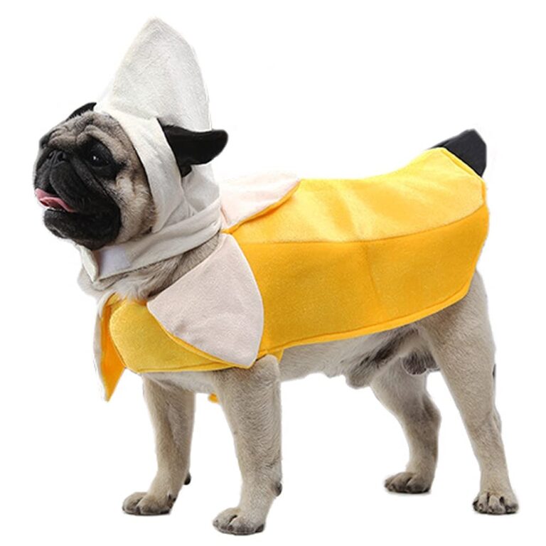 Amazon Kodervo Banana Dog Costume Funny Halloween Dog Costume Fruit Shape Banana Cosplay Jumpsuit For Small Medium Large Dogs Special Events Dog Clothes Outfits Dress Your Dogs Like Banana 