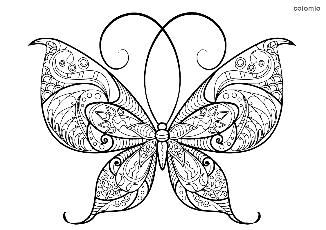 free butterfly coloring pages printable