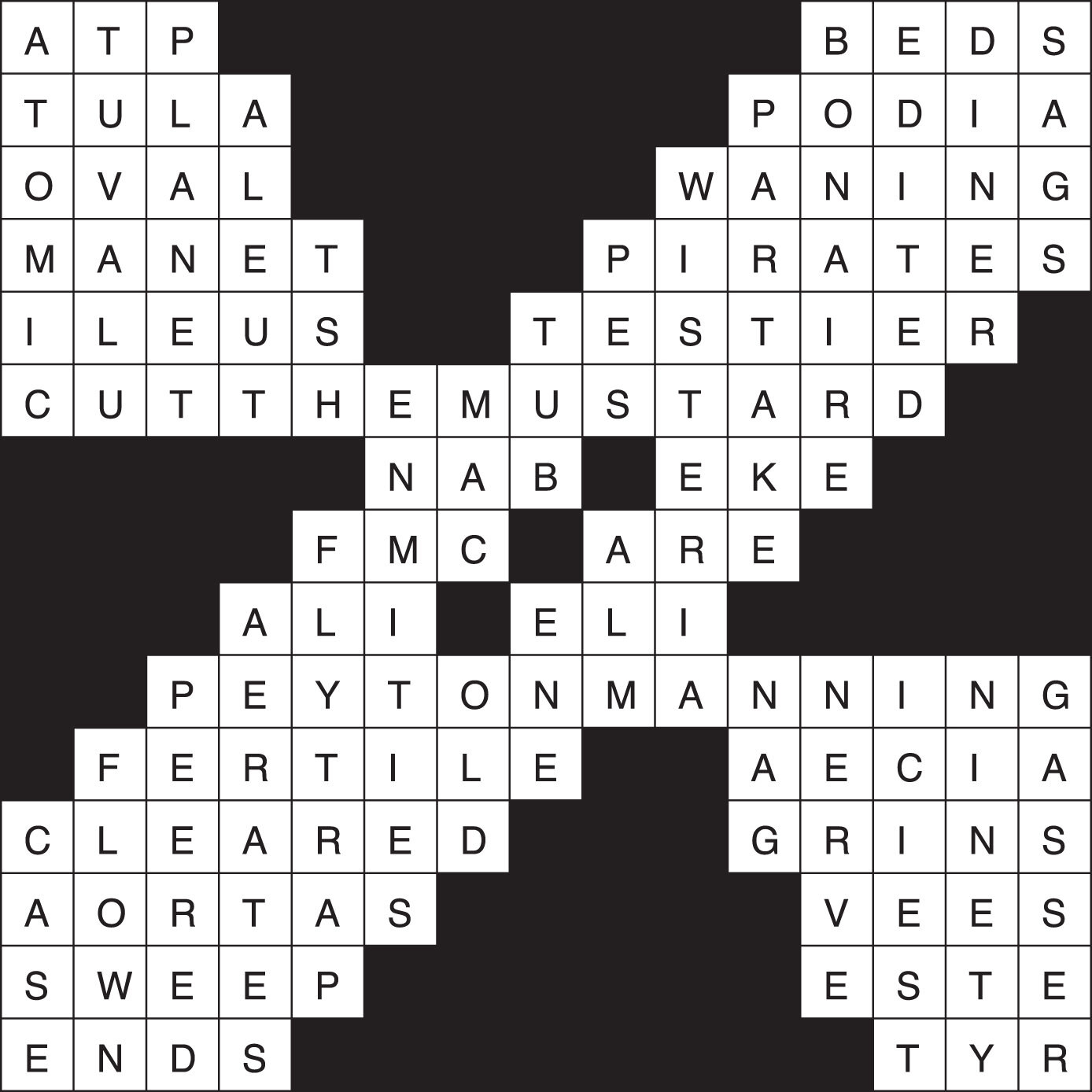 Crossword Puzzle Answers June 5 11 2025 The Northern Light
