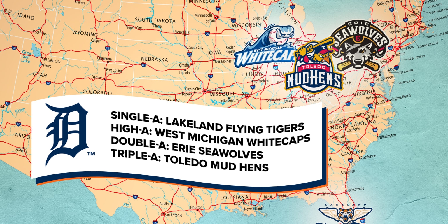 Detroit Tigers Minor League Ballparks RoughRiders