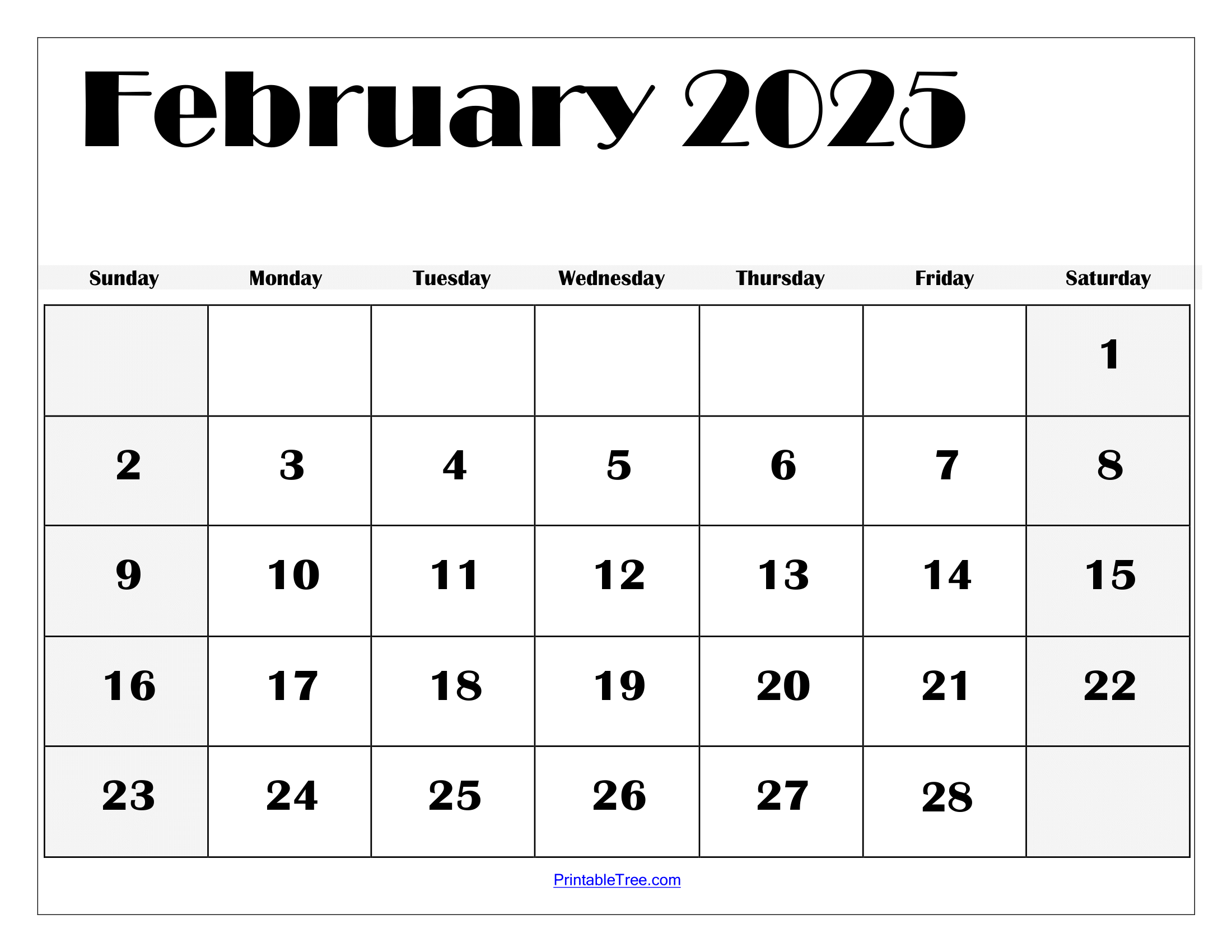 printable blank february 2025 calendar