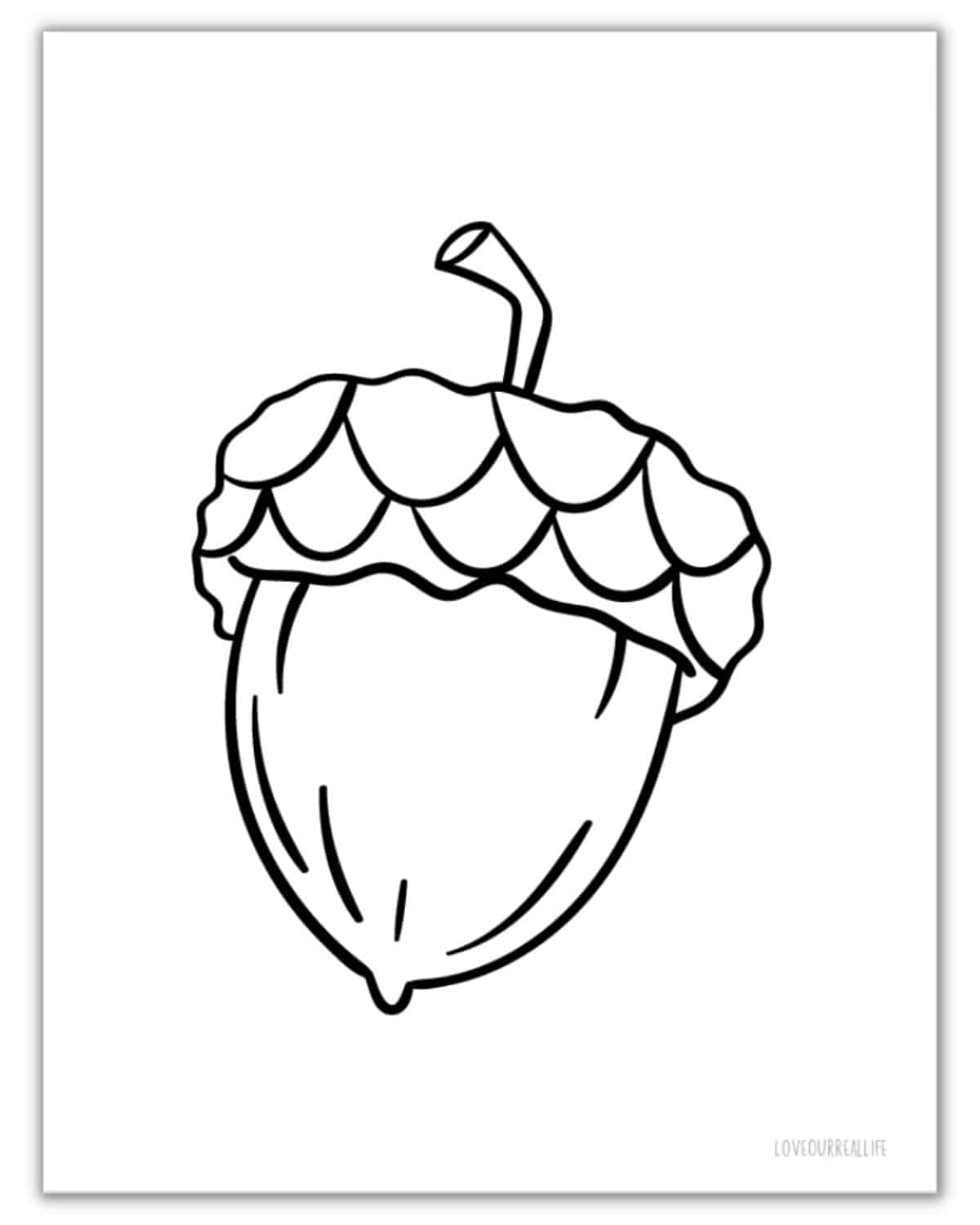 acorn pattern printable