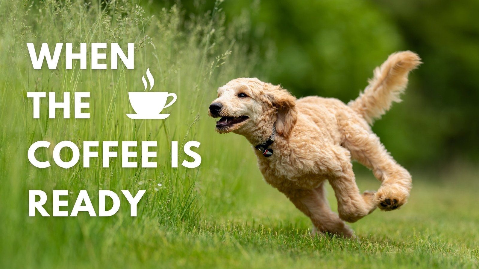Free And Customizable Inspirational Meme Templates Canva