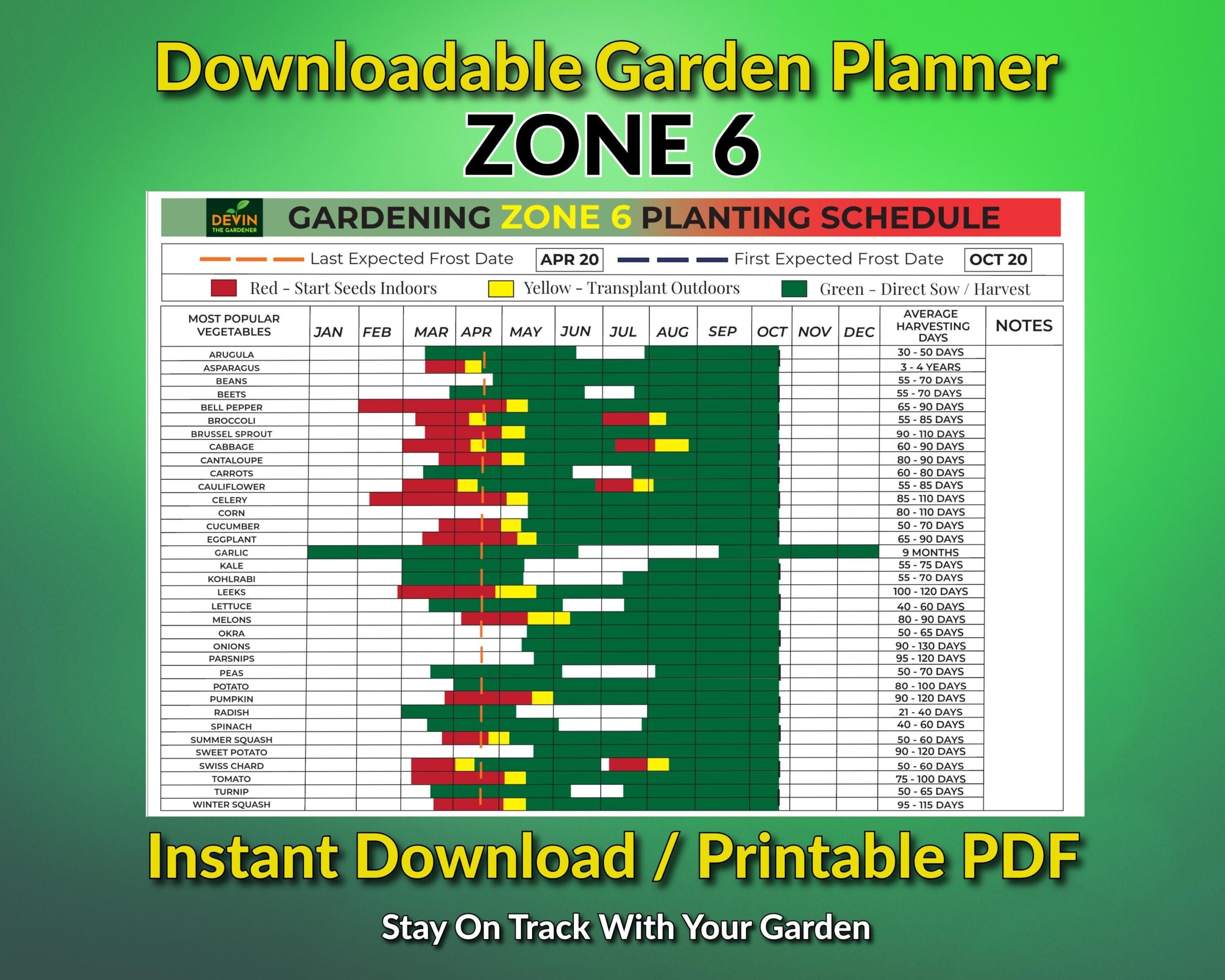 Garden Planner Zone 6 Gardening Plan Zone 6 Garden Planner PDF Garden Planner 2025 Garden Calendar Planting Calendar Garden Calendar Etsy