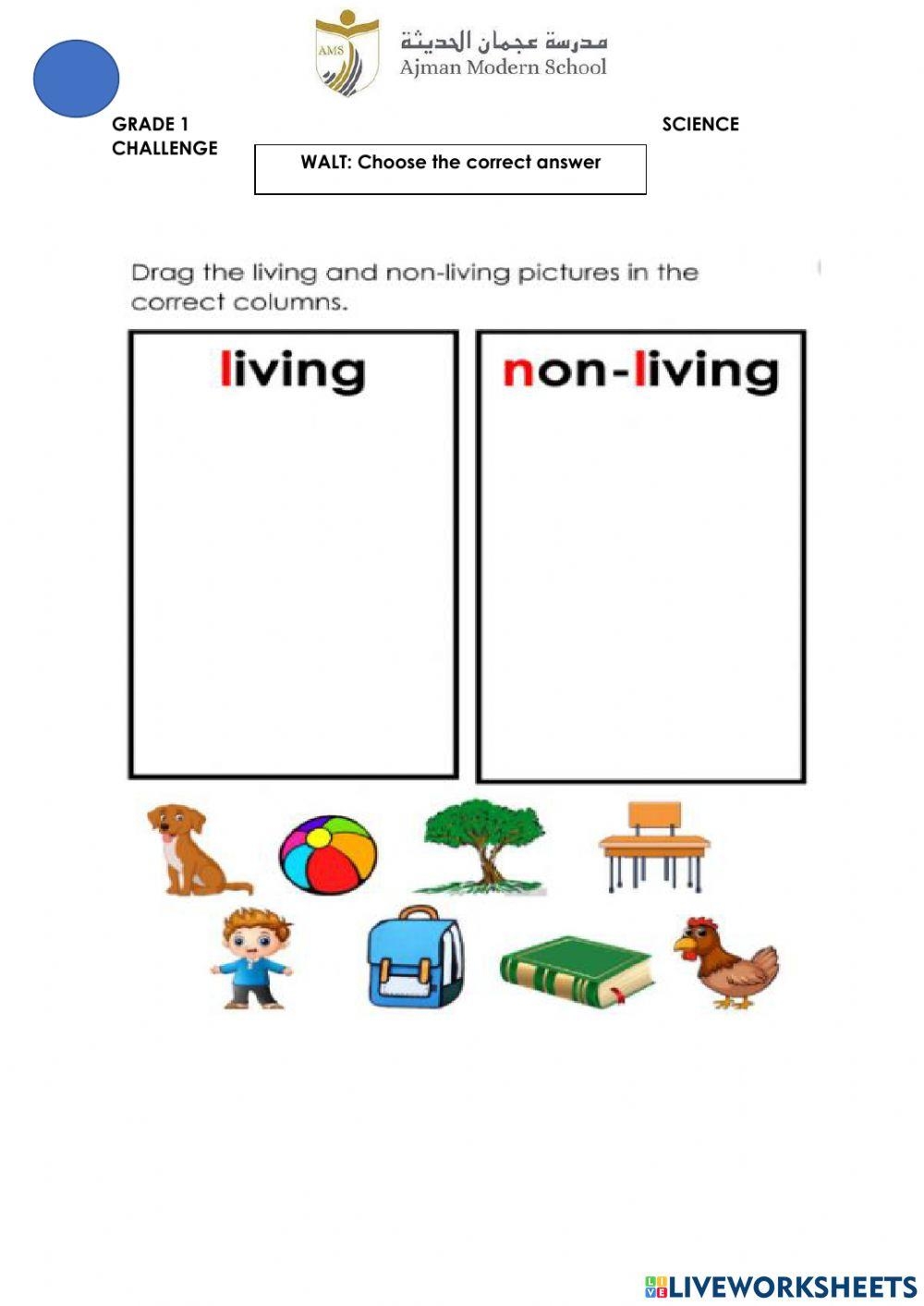 Grade 1 Worksheets Term 2 Worksheet Live Worksheets Worksheets Library