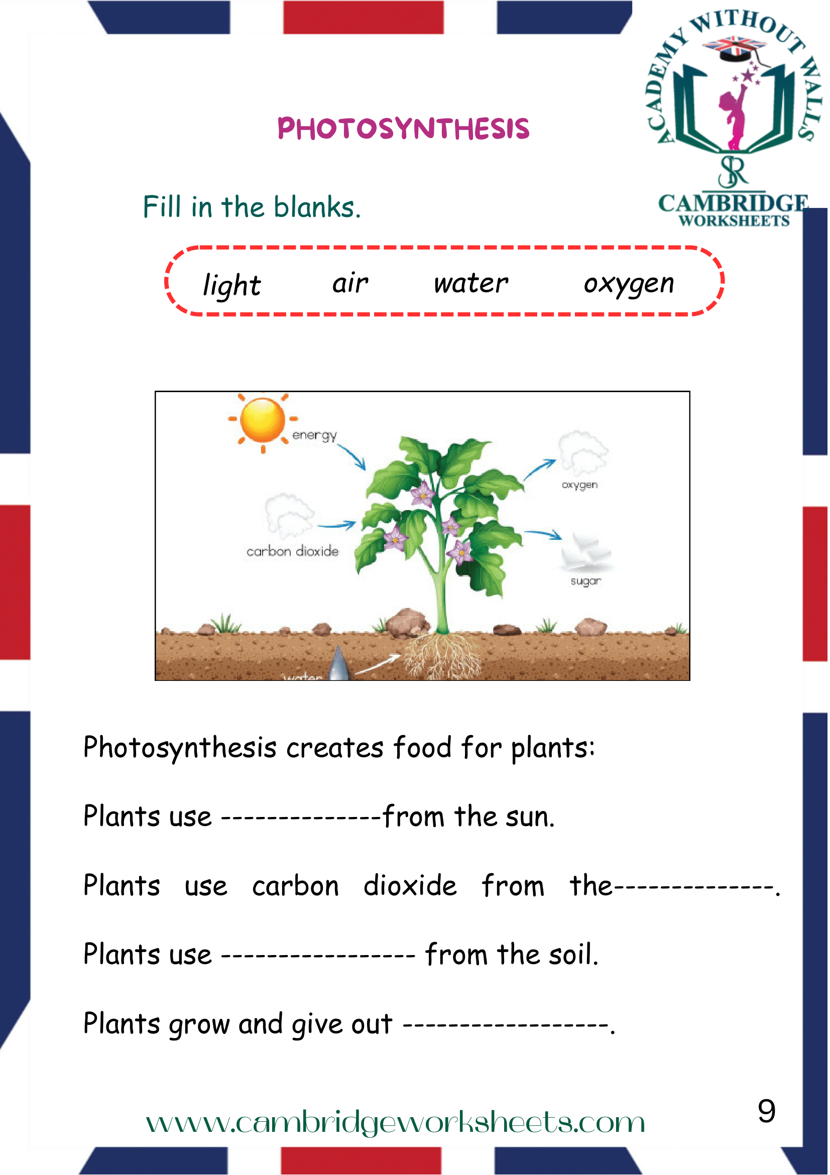 Grade 2 Science Pack Cambridge Work Sheets