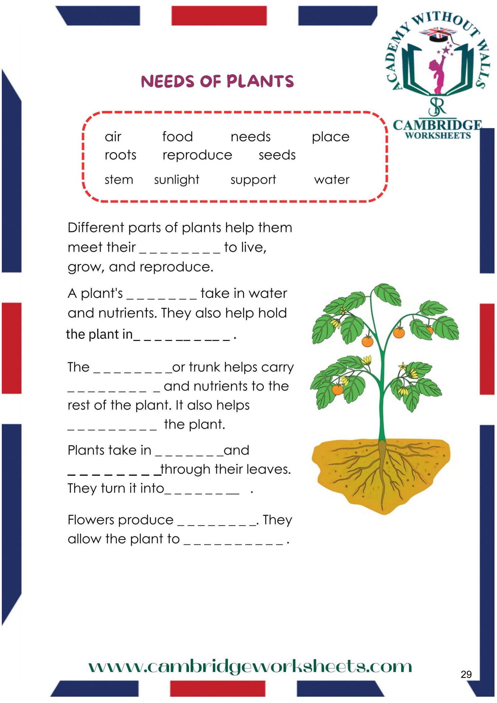 Grade 3 Science Pack Cambridge Work Sheets Grade 3 Science Pack Cambridge Work Sheets