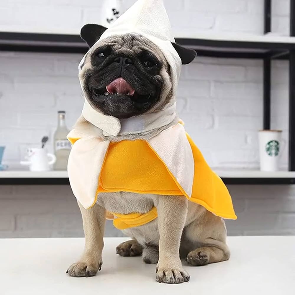 Kodervo Banana Dog Costume Funny Halloween Dog Costume Fruit Shape Banana Cosplay Jumpsuit For Small Medium Large Dogs Special Events Dog Clothes Outfits Dress Your Dogs Like Banana Pet Supplies Amazon