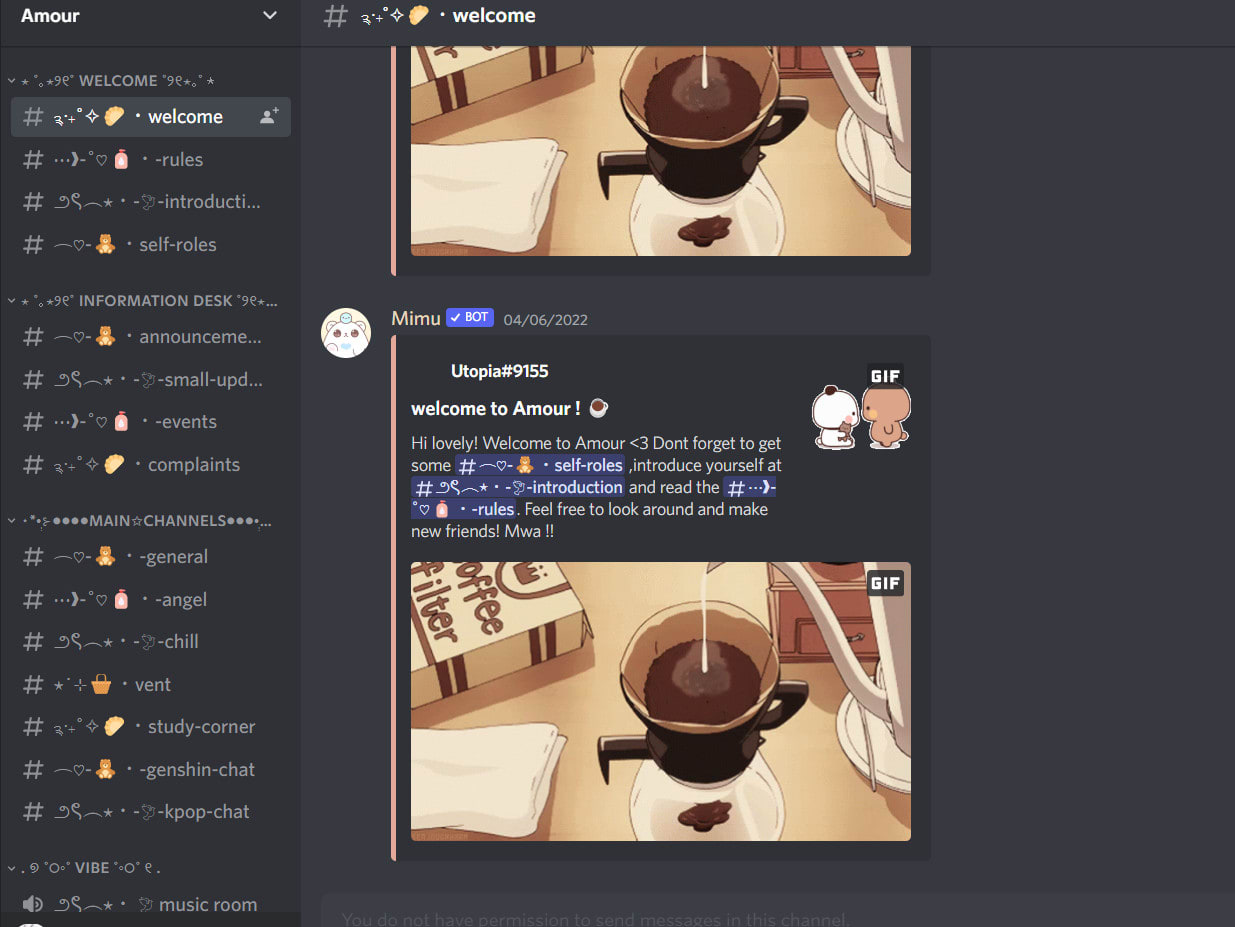 aesthetic discord introduction template