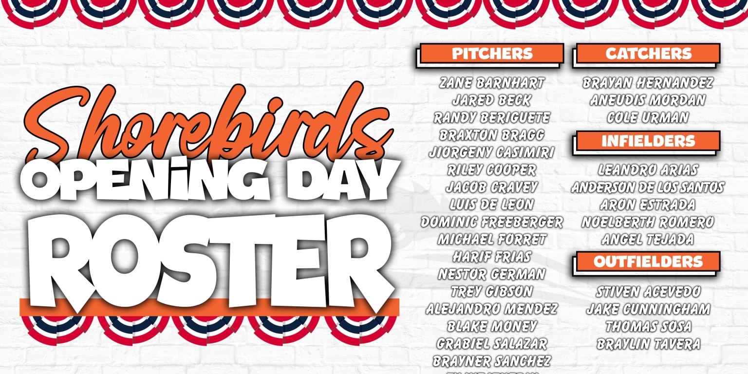 Orioles Announce Opening Day Roster For Delmarva Shorebirds