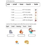 Science Grade 2 Week 20 Worksheet Live Worksheets Worksheets Library