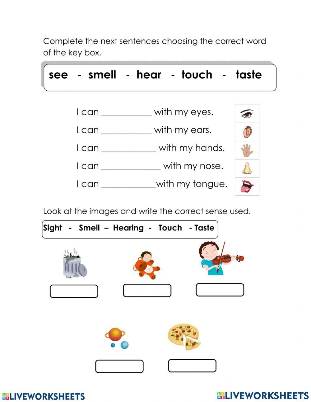 Science Grade 2 Week 20 Worksheet Live Worksheets Worksheets Library