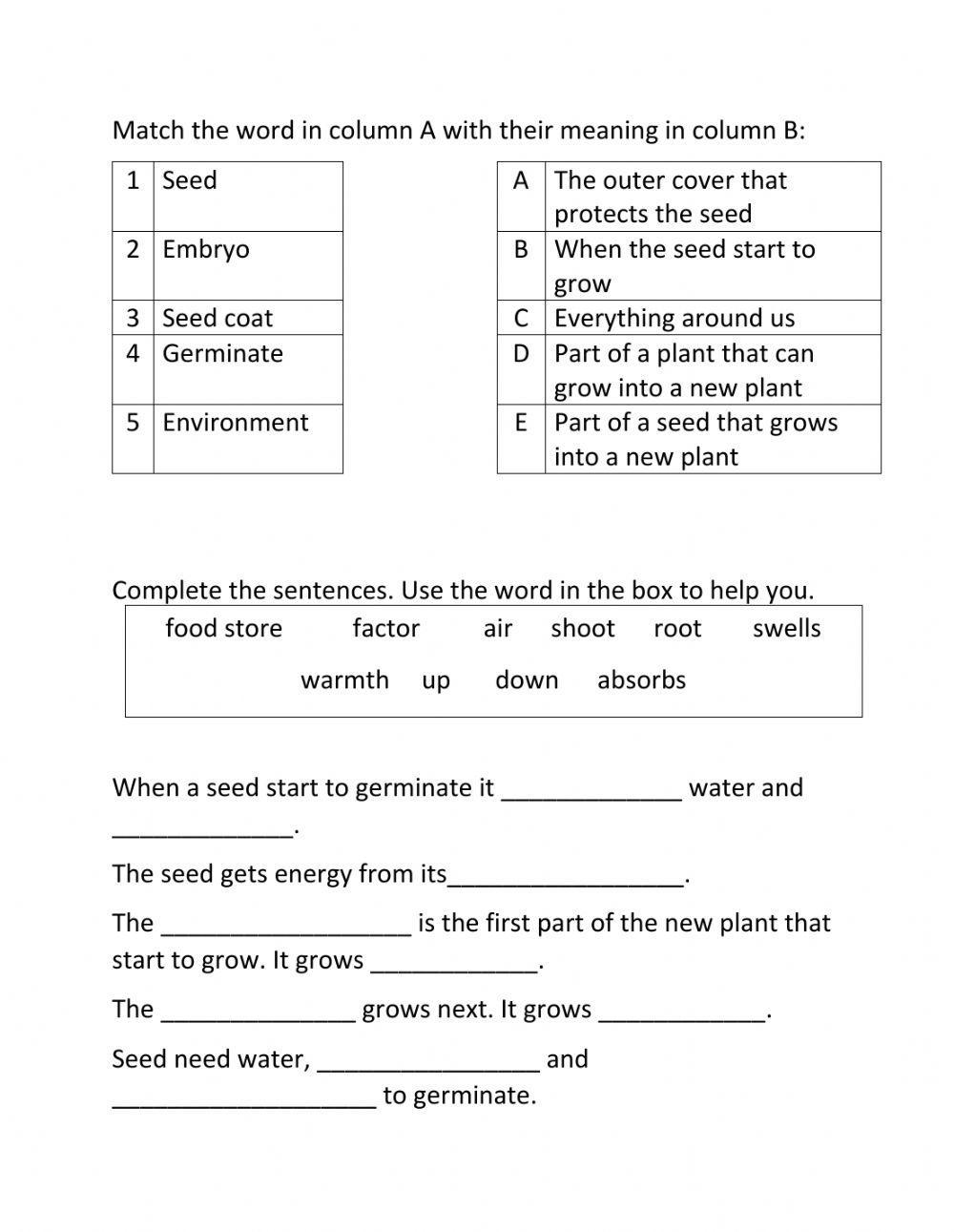 Science Review Grade 4 Worksheet Live Worksheets Worksheets Library