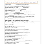 Stage 6 Grammar Exam Worksheet