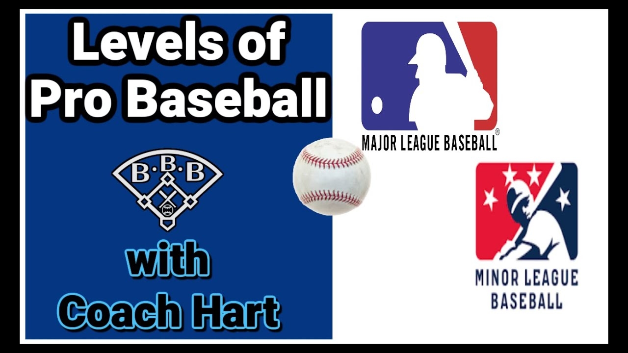 What Are The Levels Of Pro Baseball Minor League Baseball System Explained For Beginners YouTube