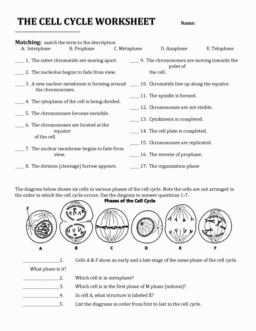 130 Best Cell Division Ideas Teaching Biology Teaching Science Biology Classroom