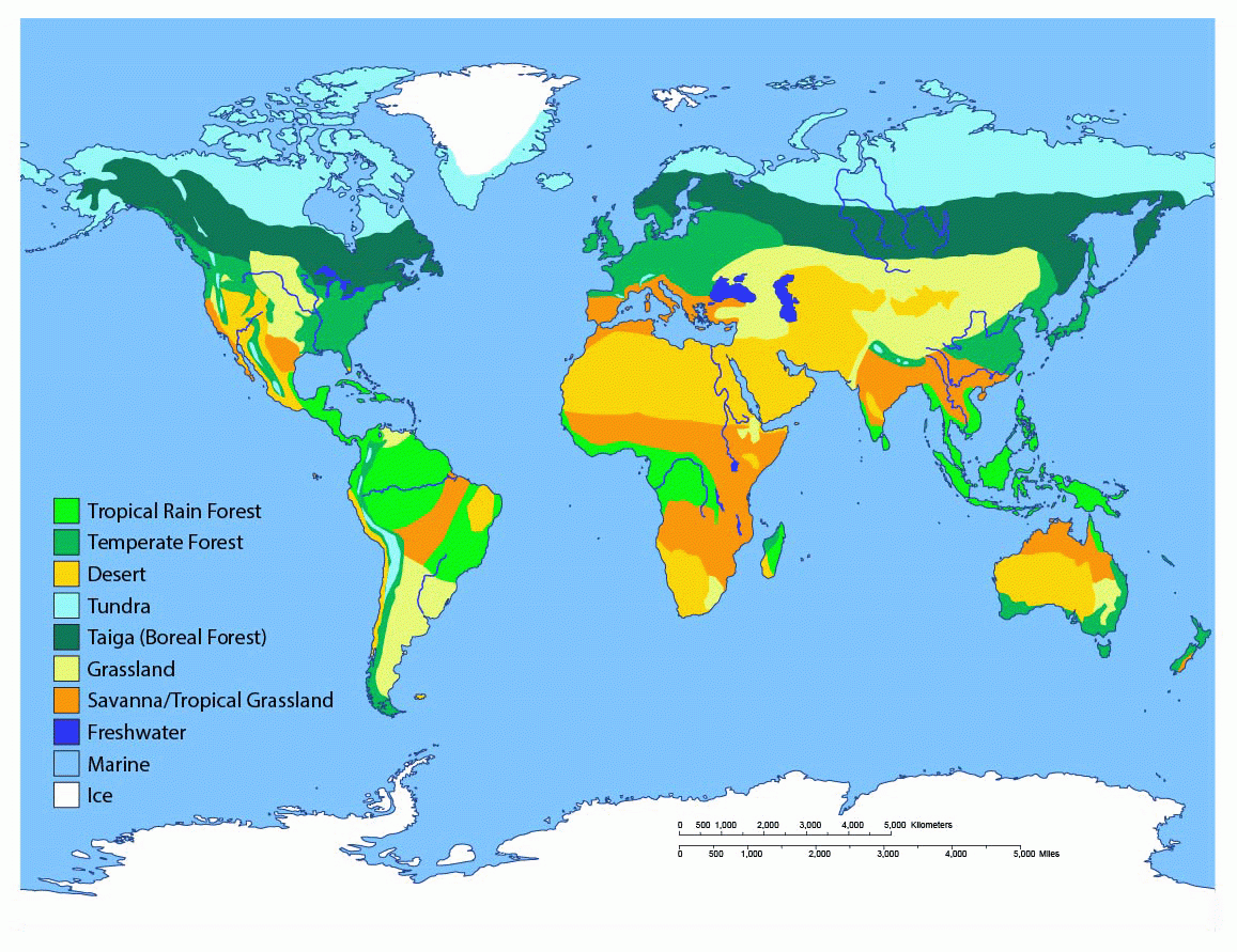 Biomes Of The World Ask A Biologist Worksheets Library