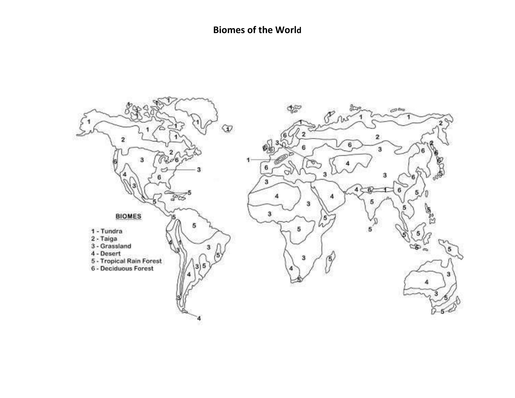 biome map coloring worksheet