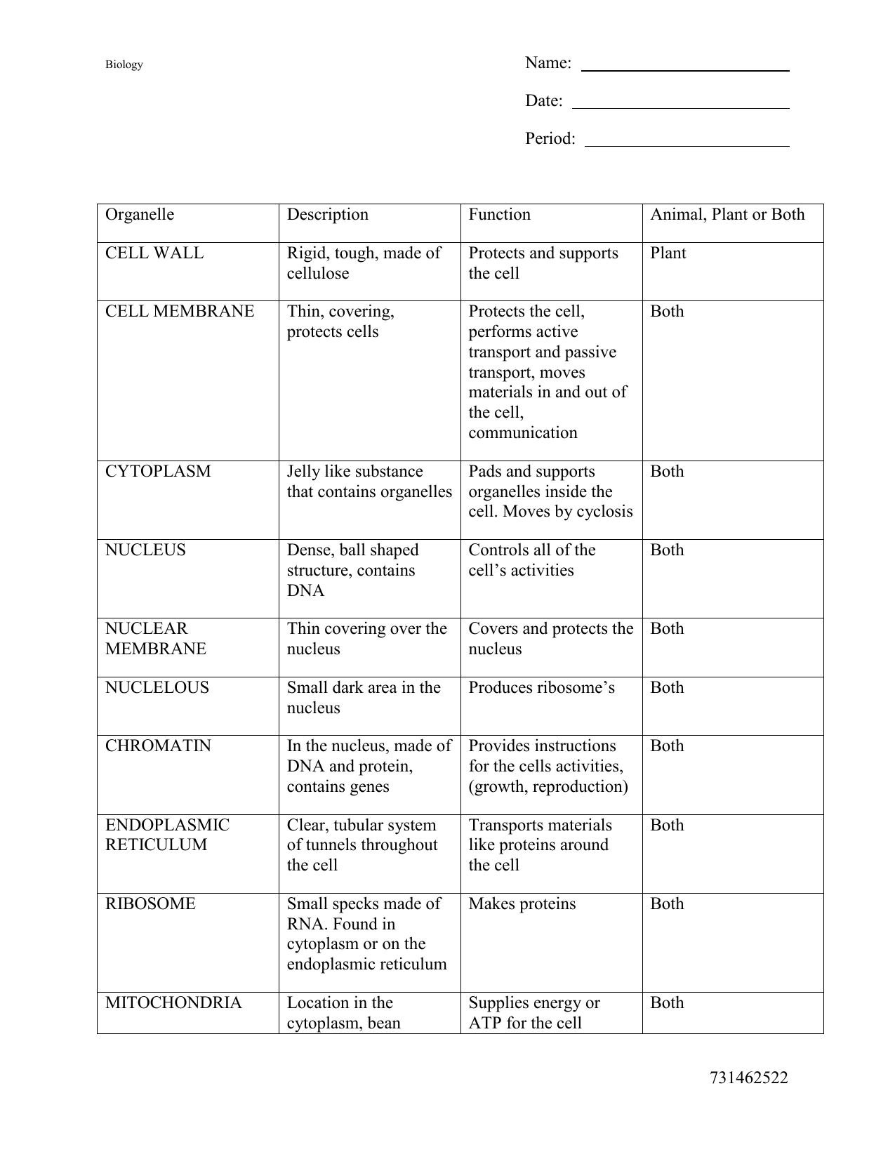 Cell Organelles Worksheet Biology Review