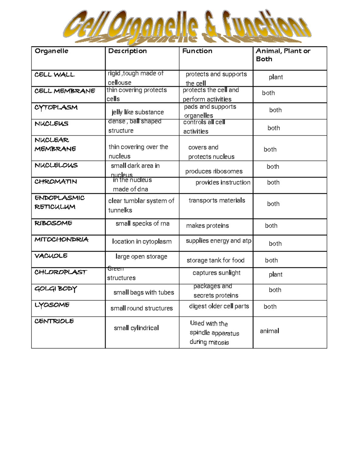 cell organelles worksheet
