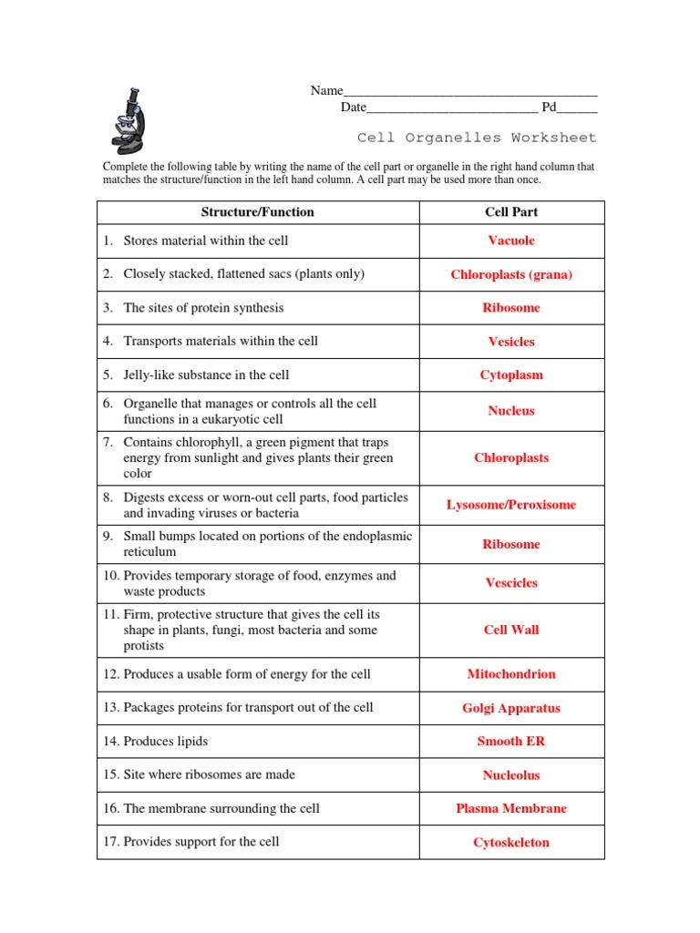 Cell Organelles Worksheet KEY PDF Cell Biology Cell Membrane Worksheets Library