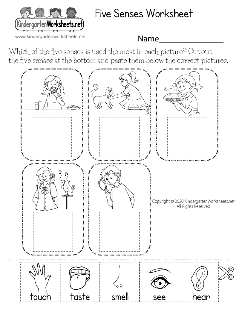 kindergarten science worksheets kindergarten science worksheets