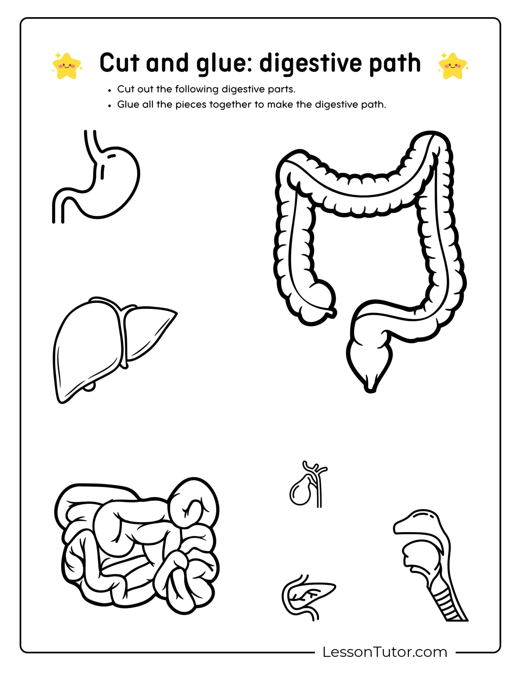 digestive system worksheet
