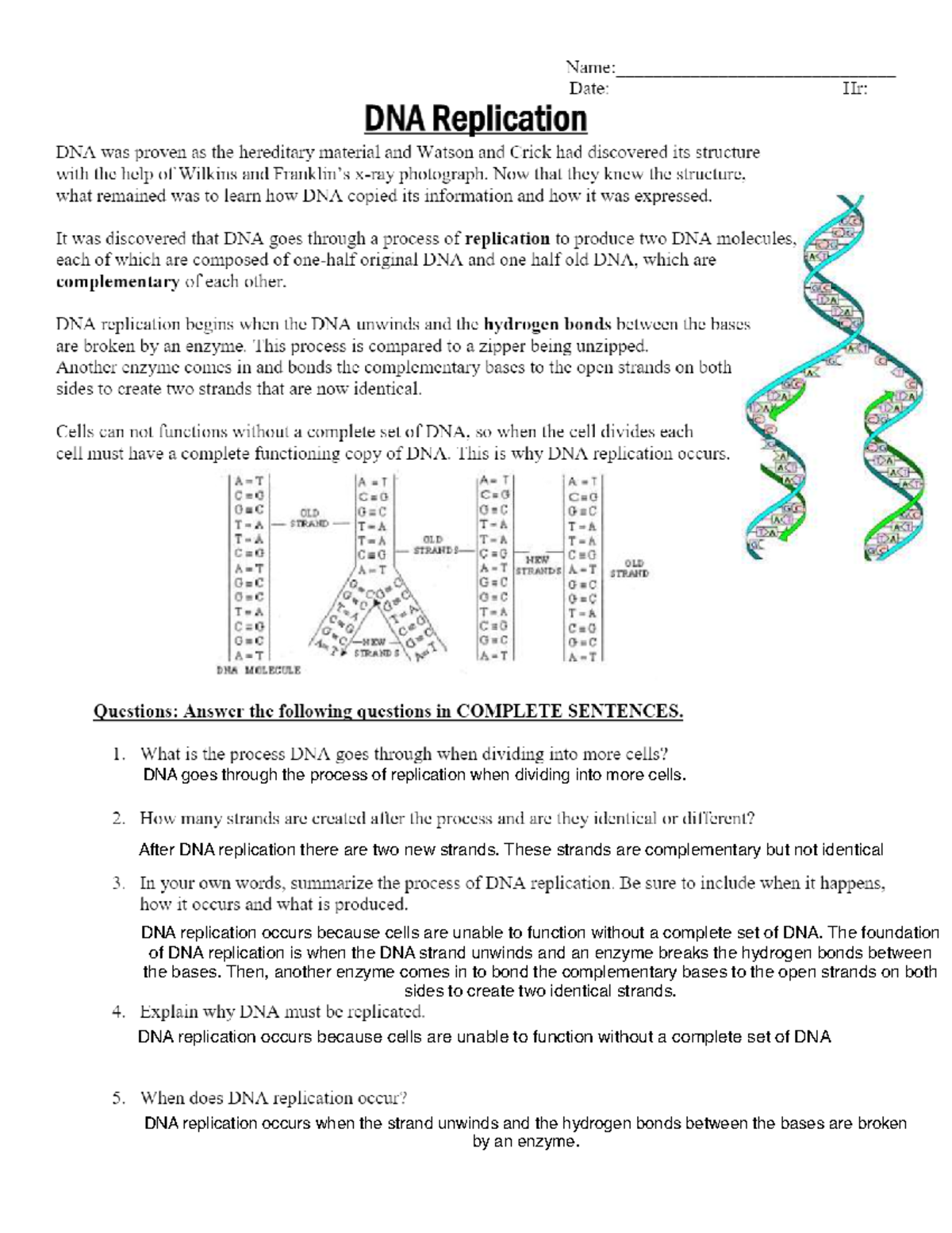 DNA Replication Worksheet For 2nd Year Biochemistry Students Studocu DNA Replication Worksheet For 2nd Year Biochemistry Students Studocu