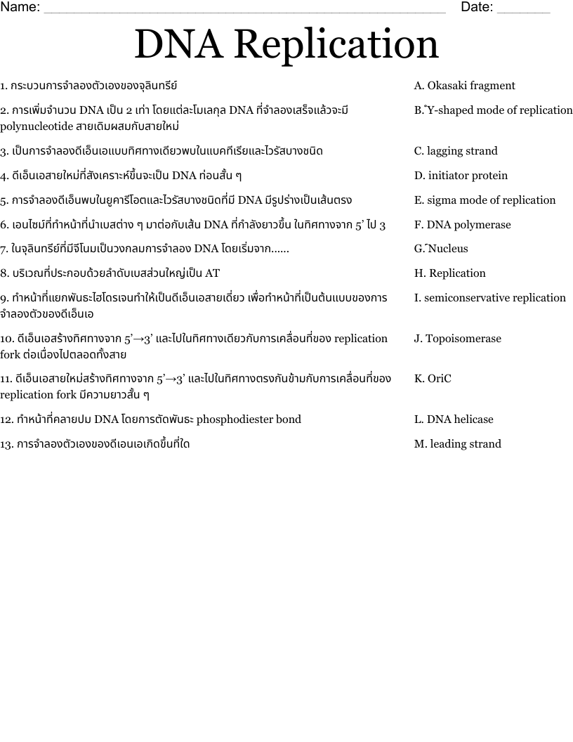 dna replication worksheet dna replication worksheet