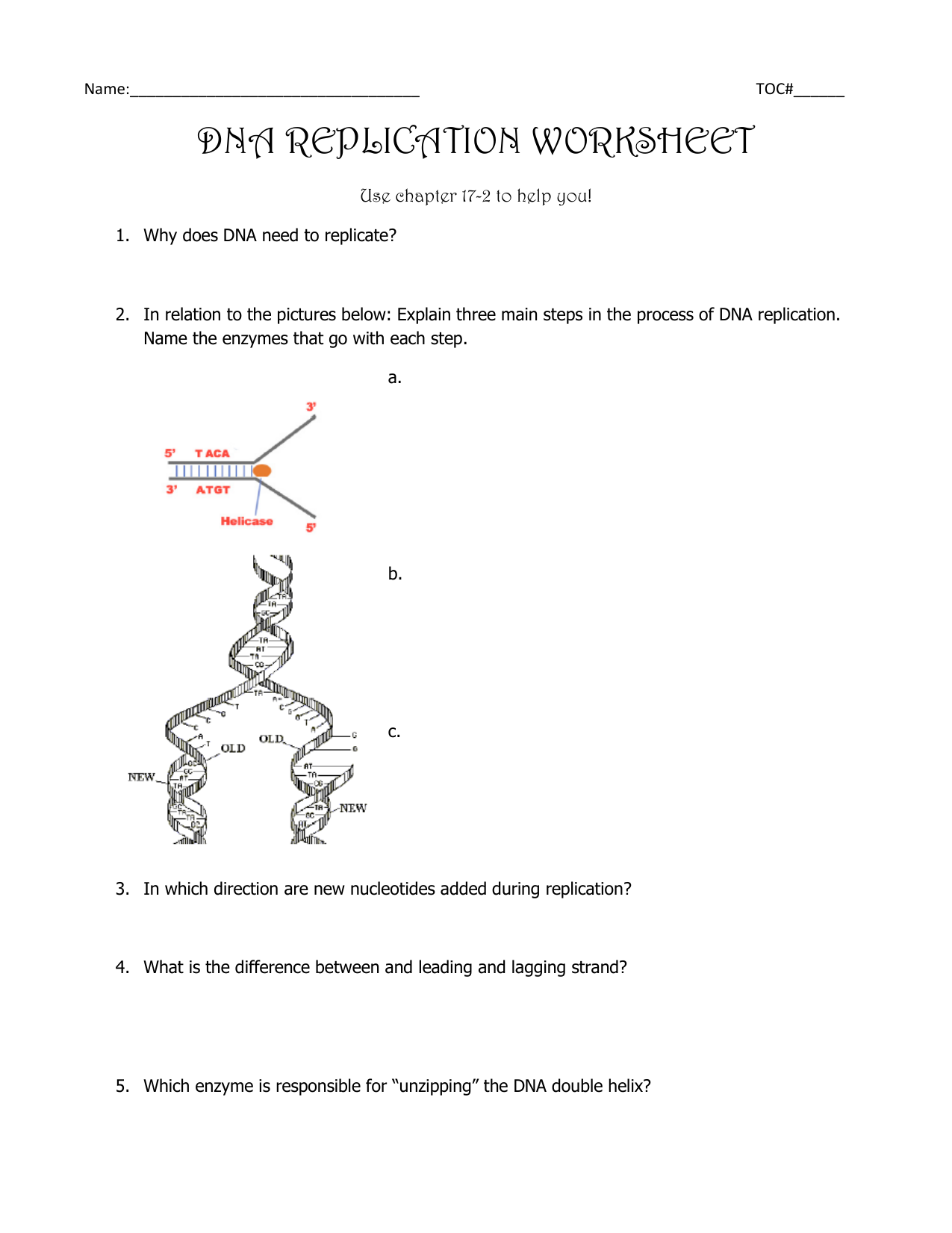 DNA Replication Worksheet DNA Replication Worksheet