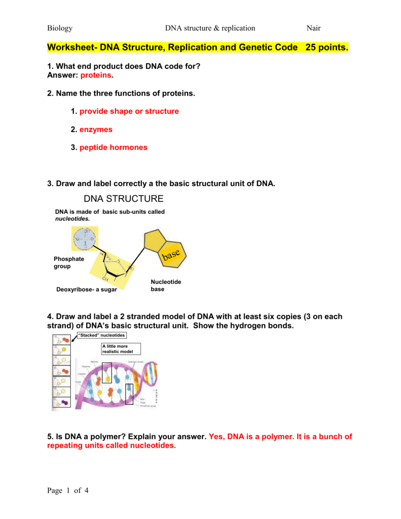 DNA Structure Replication Genetic Code Worksheet
