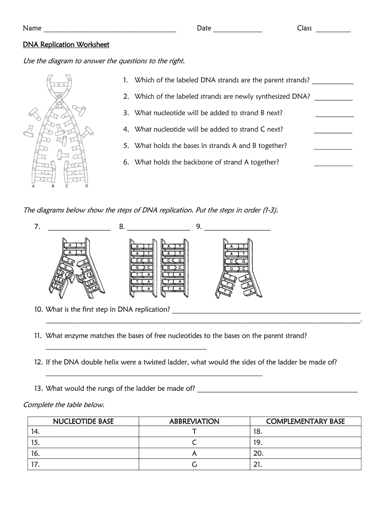 dna structure and replication worksheet
