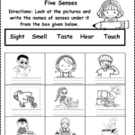 Five Senses Worksheet Free For Kindergarten And Grade 1
