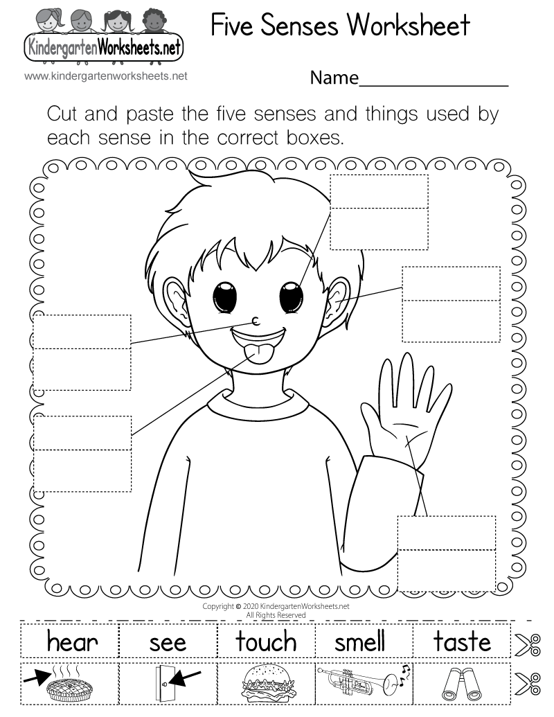 Free Printable Five Senses Worksheet Free Printable Five Senses Worksheet