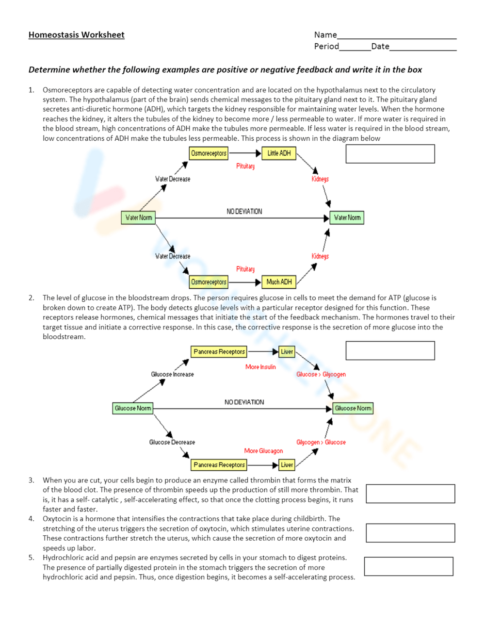 Free Printable Homeostasis Worksheets For Students Worksheets Library