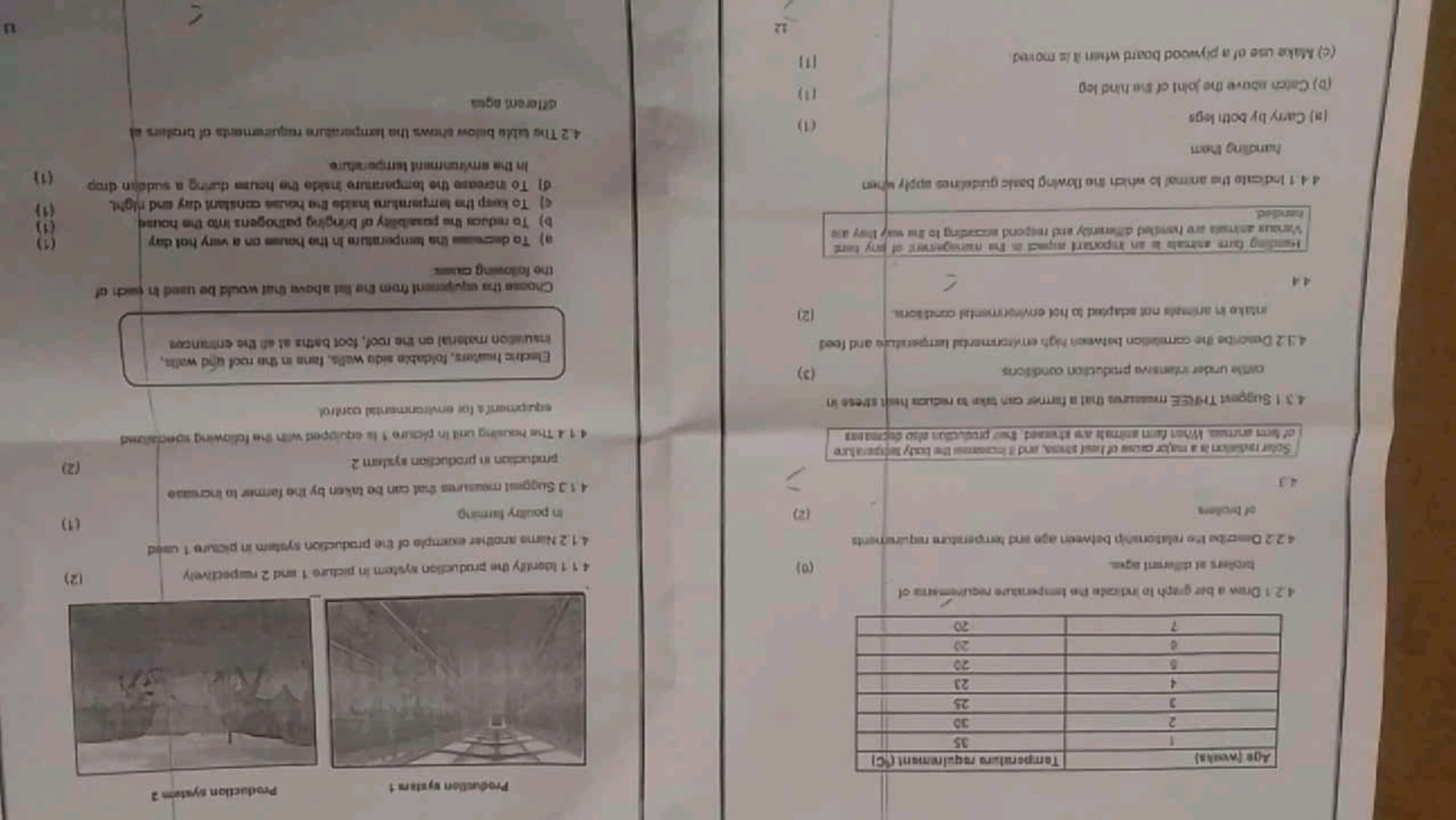 Here s The Question Image 4 1 4 1 1 Identify The Production System In Pi Here s The Question Image 4 1 4 1 1 Identify The Production System In Pi