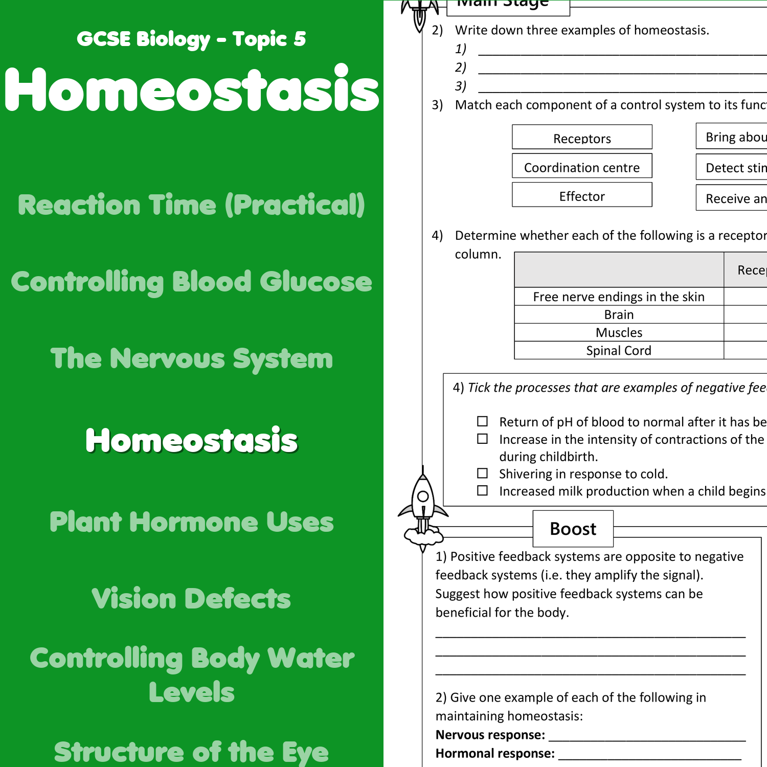 Homeostasis Home Learning Worksheet GCSE Teaching Resources