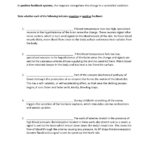 Homeostasis Worksheet Positive Negative Feedback
